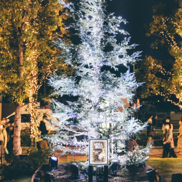有明花園季節燈飾「ARIAKE GARDEN」（圖片來源︰有明ガーデン官網）