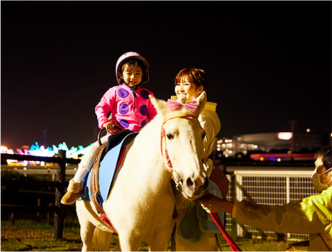 大井競馬場燈光秀「TOKYO MEGA Illumination 2024-2025」（圖片來源︰大井競馬場官網）