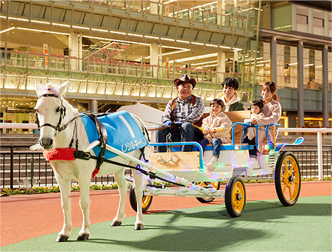 大井競馬場燈光秀「TOKYO MEGA Illumination 2024-2025」（圖片來源︰大井競馬場官網）