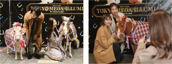 大井競馬場燈光秀「TOKYO MEGA Illumination 2024-2025」（圖片來源︰大井競馬場官網）