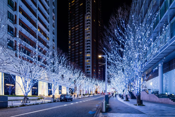 六本木聖誕燈飾「Roppogi Hills Christmas 2024」