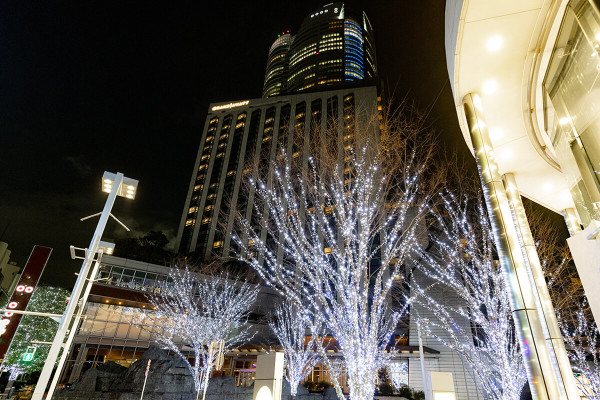 六本木聖誕燈飾「Roppogi Hills Christmas 2024」