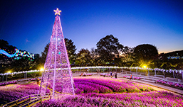 足利花卉公園「光之花庭園〜Flower Fantasy〜」（圖片來源︰足利花卉公園官網）