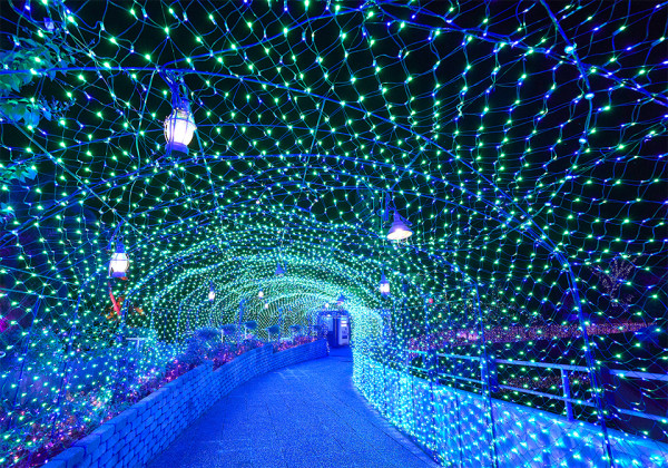 大阪枚方公園「光之遊園地」（圖片來源︰大阪枚方公園官網）