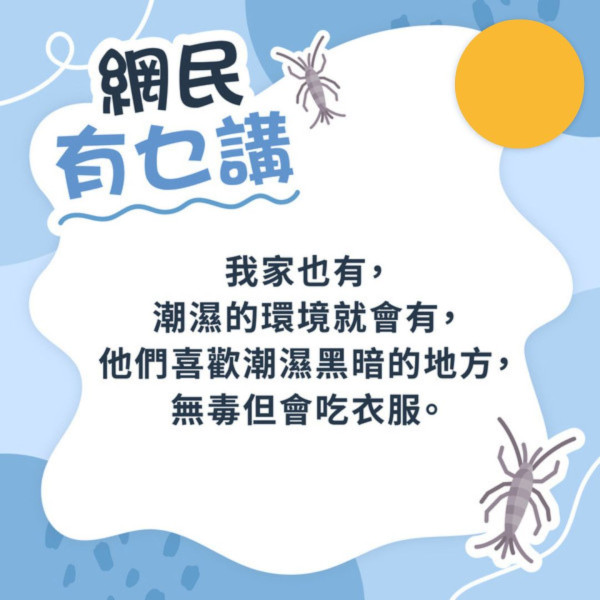 網民見衣魚求救「這啥鬼？」