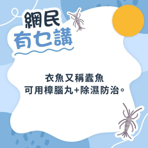 網民見衣魚求救「這啥鬼？」