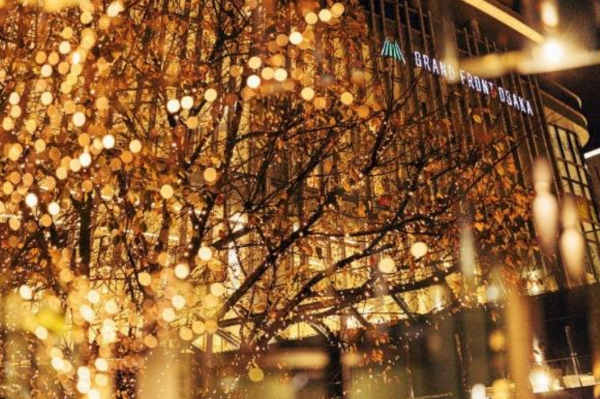 Champagne Gold Illumination in UMEKITA