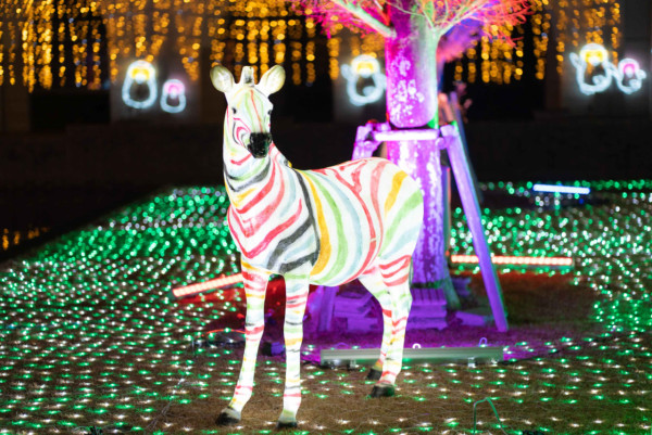 神戶Illuminage 2024（圖片來源︰illuminagegroup.com）