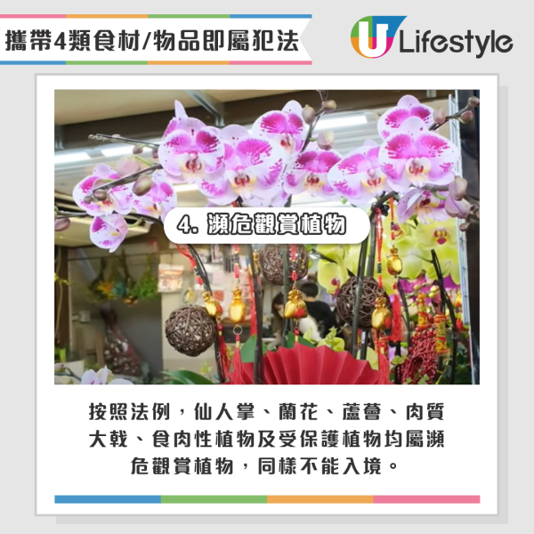 攜帶以下4類食材均屬犯法 - 【4. 瀕危觀賞植物】