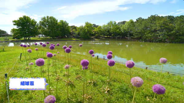 《解風福岡》行程懶人包｜杜如風帶隊遊福岡 必食餐廳/打卡景點/酒店推介 