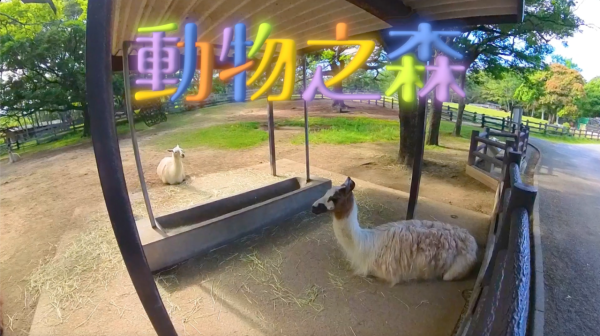 《解風福岡》行程懶人包｜杜如風帶隊遊福岡 必食餐廳/打卡景點/酒店推介 