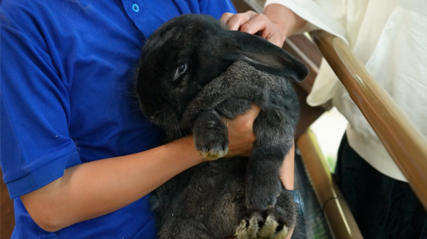 《解風福岡》行程懶人包｜杜如風帶隊遊福岡 必食餐廳/打卡景點/酒店推介 