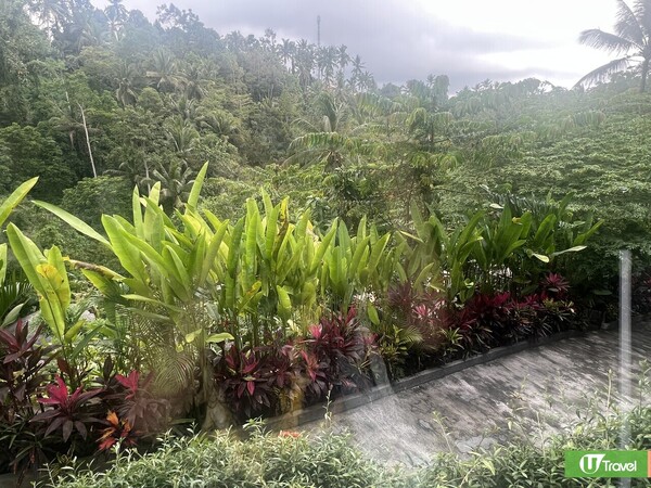 峇里島酒店推介烏布叢林風Villa K Club Ubud  打卡私人泳池/夜間燈光騷/CP值超高！ 