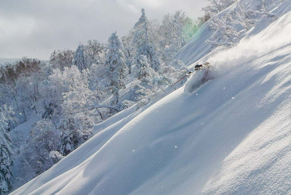 日本滑雪|來源:王子滑雪度假中心、skiing-hokkaido.com、藏王溫泉滑雪場、GALA湯澤滑雪場、安比高原滑雪場、二世谷滑雪場、喜樂樂雪世界、藤野Fu’s滑雪場、二合目YETI滑雪場 日本滑雪|來源:王子滑雪度假中心、skiing-hokkaido.com、藏王溫泉滑雪場、GALA湯澤滑雪場、安比高原滑雪場、二世谷滑雪場、喜樂樂雪世界、藤野Fu’s滑雪場、二合目YETI滑雪場