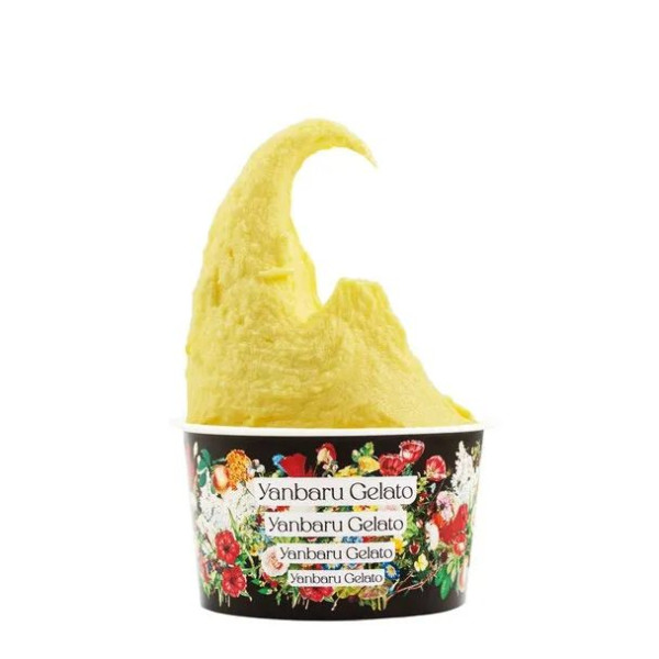 日本沖繩過江龍意式雪糕店Yanbaru Gelato  首間海外分店選址香港啟德！必試卡邦尼芝士/今歸仁西瓜/糖漬栗子味