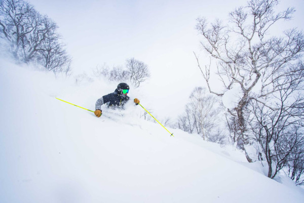 日本滑雪|來源:王子滑雪度假中心、skiing-hokkaido.com、藏王溫泉滑雪場、GALA湯澤滑雪場、安比高原滑雪場、二世谷滑雪場、喜樂樂雪世界、藤野Fu’s滑雪場、二合目YETI滑雪場 日本滑雪|來源:王子滑雪度假中心、skiing-hokkaido.com、藏王溫泉滑雪場、GALA湯澤滑雪場、安比高原滑雪場、二世谷滑雪場、喜樂樂雪世界、藤野Fu’s滑雪場、二合目YETI滑雪場