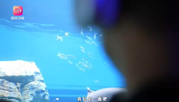 北上注意｜深圳爆發諾如病毒！腹瀉/嘔吐/發燒傳染性極強！1種場所1活動最危險 