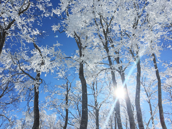 日本滑雪|來源:王子滑雪度假中心、skiing-hokkaido.com、藏王溫泉滑雪場、GALA湯澤滑雪場、安比高原滑雪場、二世谷滑雪場、喜樂樂雪世界、藤野Fu’s滑雪場、二合目YETI滑雪場 日本滑雪|來源:王子滑雪度假中心、skiing-hokkaido.com、藏王溫泉滑雪場、GALA湯澤滑雪場、安比高原滑雪場、二世谷滑雪場、喜樂樂雪世界、藤野Fu’s滑雪場、二合目YETI滑雪場