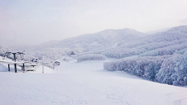 日本滑雪|來源:王子滑雪度假中心、skiing-hokkaido.com、藏王溫泉滑雪場、GALA湯澤滑雪場、安比高原滑雪場、二世谷滑雪場、喜樂樂雪世界、藤野Fu’s滑雪場、二合目YETI滑雪場 日本滑雪|來源:王子滑雪度假中心、skiing-hokkaido.com、藏王溫泉滑雪場、GALA湯澤滑雪場、安比高原滑雪場、二世谷滑雪場、喜樂樂雪世界、藤野Fu’s滑雪場、二合目YETI滑雪場