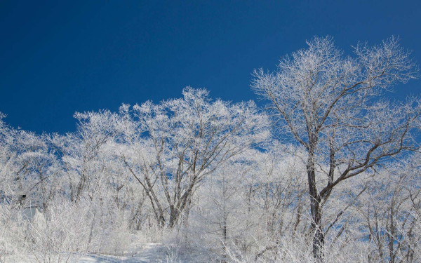 日本滑雪|來源:王子滑雪度假中心、skiing-hokkaido.com、藏王溫泉滑雪場、GALA湯澤滑雪場、安比高原滑雪場、二世谷滑雪場、喜樂樂雪世界、藤野Fu’s滑雪場、二合目YETI滑雪場 日本滑雪|來源:王子滑雪度假中心、skiing-hokkaido.com、藏王溫泉滑雪場、GALA湯澤滑雪場、安比高原滑雪場、二世谷滑雪場、喜樂樂雪世界、藤野Fu’s滑雪場、二合目YETI滑雪場