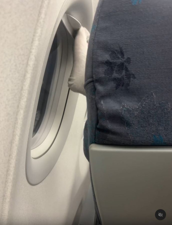 搭飛機驚見頭頂「有爪異形」橫行！網民估計係呢隻野生動物 