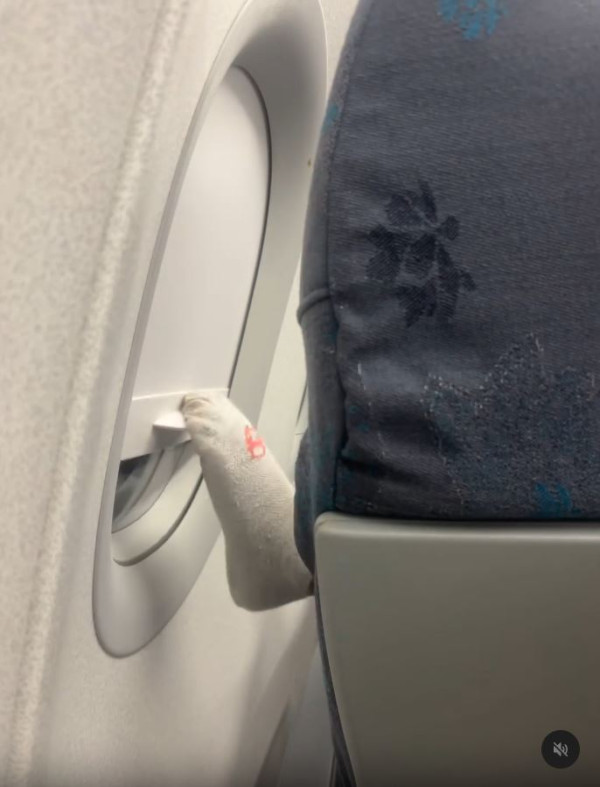 搭飛機驚見頭頂「有爪異形」橫行！網民估計係呢隻野生動物 