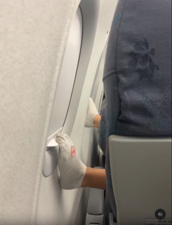 搭飛機驚見頭頂「有爪異形」橫行！網民估計係呢隻野生動物 