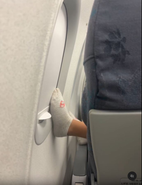 搭飛機驚見頭頂「有爪異形」橫行！網民估計係呢隻野生動物 