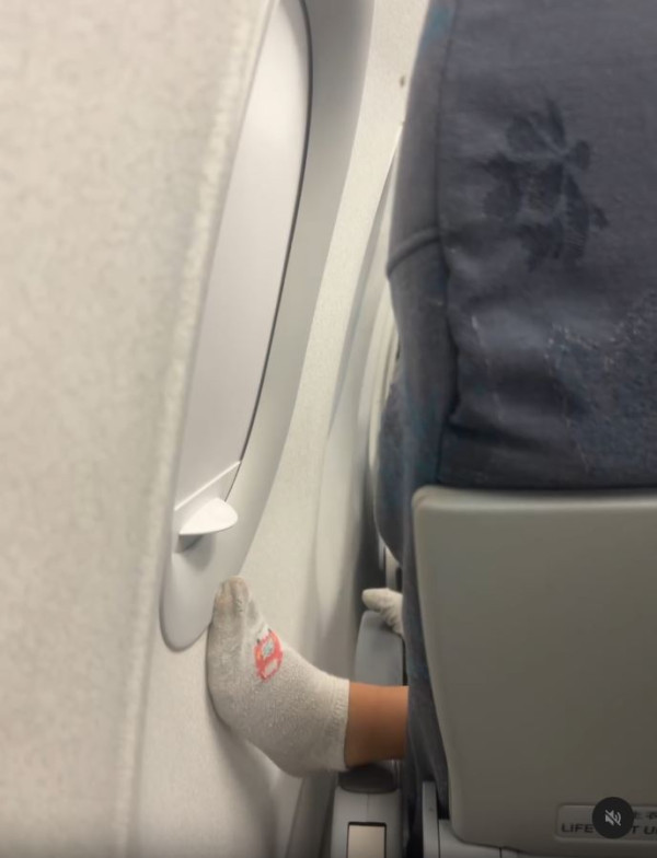 搭飛機驚見頭頂「有爪異形」橫行！網民估計係呢隻野生動物 