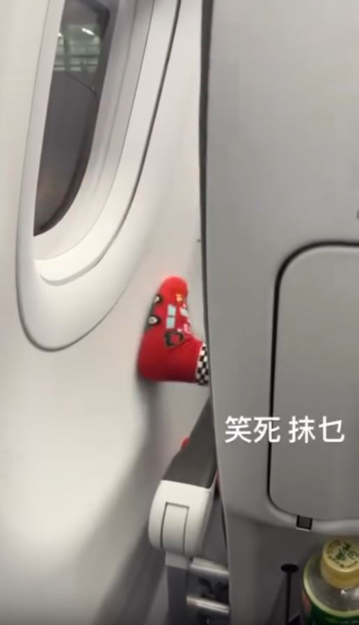 搭飛機驚見頭頂「有爪異形」橫行！網民估計係呢隻野生動物 