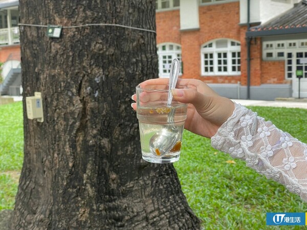 炮台山油街實現免費人生特飲！自調甜酸苦辣製專屬飲品