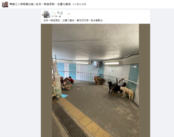 6犬慘遭外傭工人綁隧道欄杆 網民不忍狗狗「罰企焗桑拿」怒轟：好過份