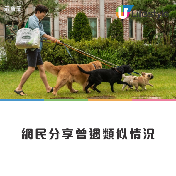 6犬慘遭外傭工人綁隧道欄杆 網民不忍狗狗「罰企焗桑拿」怒轟：好過份