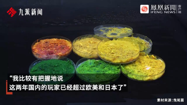 內地景區推古代坐監沉浸式體驗 還原《甄嬛傳》劇情 網民：凍死了有人知道？ 