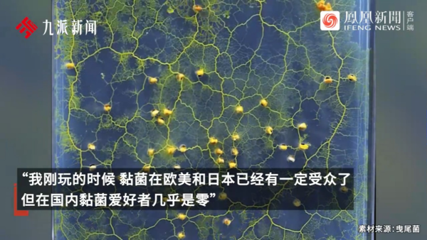 內地景區推古代坐監沉浸式體驗 還原《甄嬛傳》劇情 網民：凍死了有人知道？ 