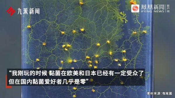 內地景區推古代坐監沉浸式體驗 還原《甄嬛傳》劇情 網民：凍死了有人知道？ 