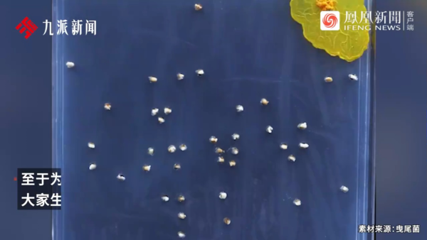 內地景區推古代坐監沉浸式體驗 還原《甄嬛傳》劇情 網民：凍死了有人知道？ 