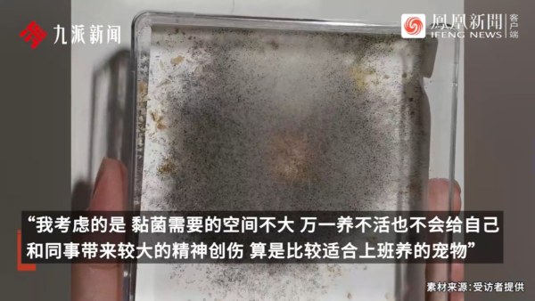 內地景區推古代坐監沉浸式體驗 還原《甄嬛傳》劇情 網民：凍死了有人知道？ 