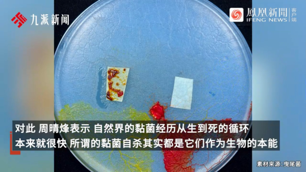 內地景區推古代坐監沉浸式體驗 還原《甄嬛傳》劇情 網民：凍死了有人知道？ 