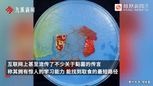 內地景區推古代坐監沉浸式體驗 還原《甄嬛傳》劇情 網民：凍死了有人知道？ 