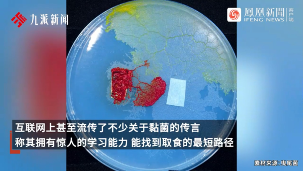 內地景區推古代坐監沉浸式體驗 還原《甄嬛傳》劇情 網民：凍死了有人知道？ 