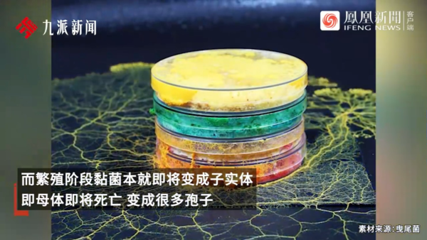 內地景區推古代坐監沉浸式體驗 還原《甄嬛傳》劇情 網民：凍死了有人知道？ 