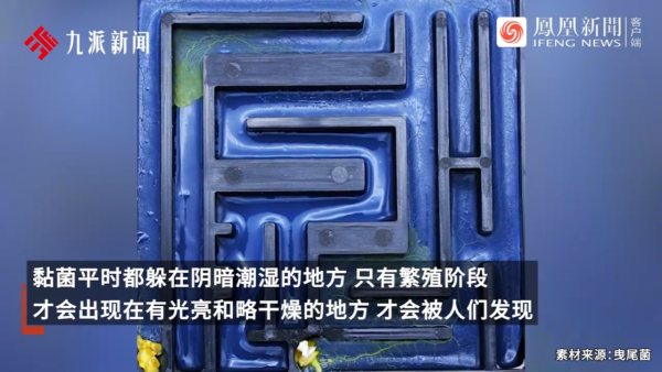 內地景區推古代坐監沉浸式體驗 還原《甄嬛傳》劇情 網民：凍死了有人知道？ 