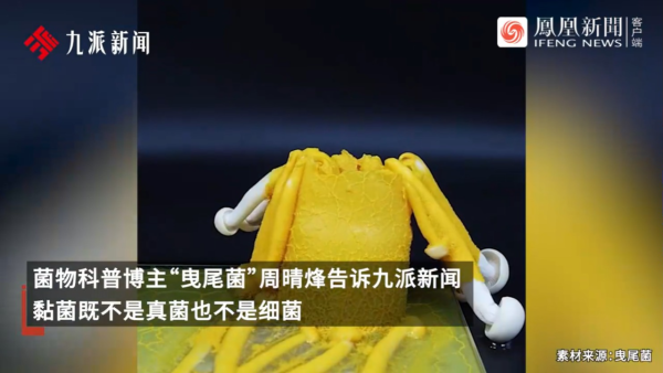 內地景區推古代坐監沉浸式體驗 還原《甄嬛傳》劇情 網民：凍死了有人知道？ 