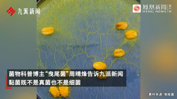 內地景區推古代坐監沉浸式體驗 還原《甄嬛傳》劇情 網民：凍死了有人知道？ 