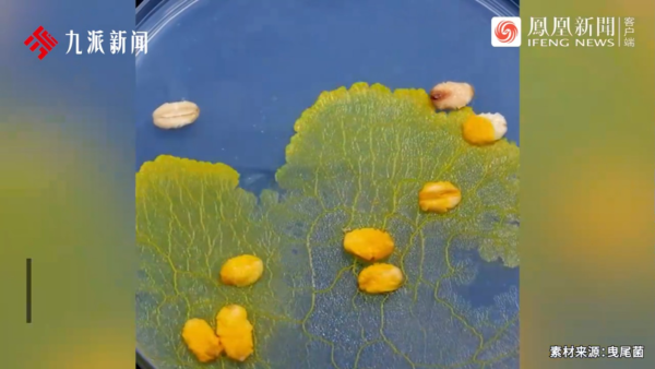 內地景區推古代坐監沉浸式體驗 還原《甄嬛傳》劇情 網民：凍死了有人知道？ 