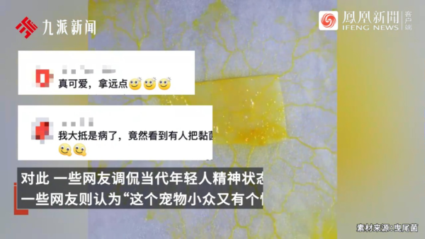 內地景區推古代坐監沉浸式體驗 還原《甄嬛傳》劇情 網民：凍死了有人知道？ 