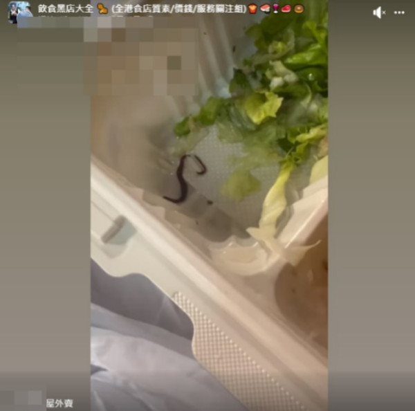 荃灣外賣沙律菜驚見活生生水蛭？不停蠕動極驚嚇！網民：可能是「吸血蜞乸」