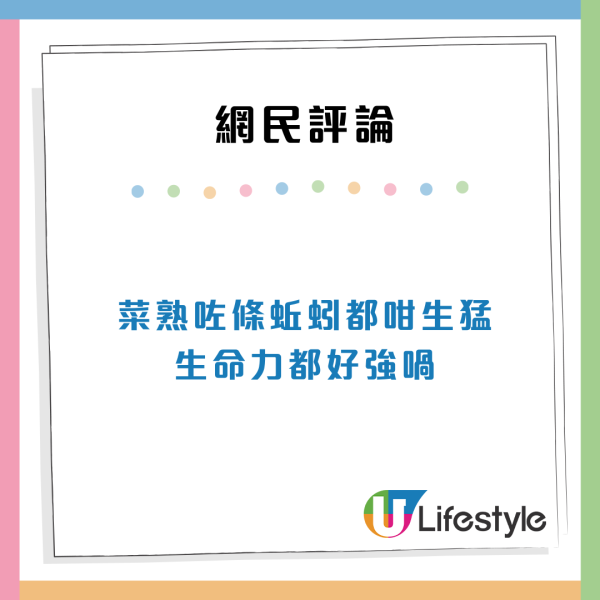 荃灣外賣沙律菜驚見活生生水蛭？不停蠕動極驚嚇！網民：可能是「吸血蜞乸」