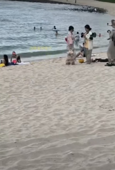 三亞女著和服沙灘打卡遭泳客指罵 怒回：穿什麼衣服和愛不愛國沒關係！ 